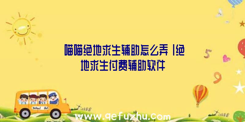 「喵喵绝地求生辅助怎么弄」|绝地求生付费辅助软件